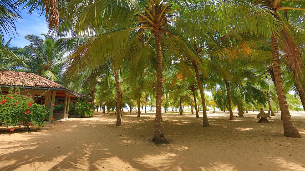 Mangrove Beach Chalets Tangalle Exterior foto