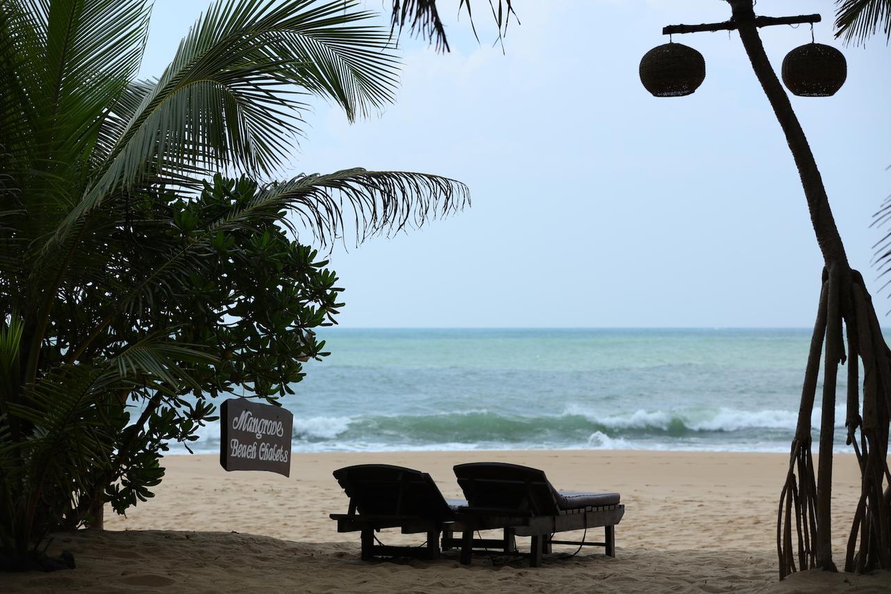 Mangrove Beach Chalets Tangalle Exterior foto