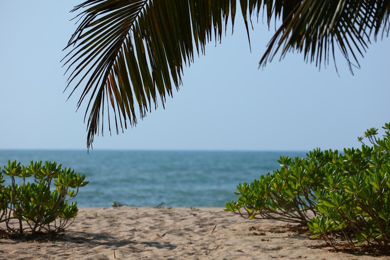 Mangrove Beach Chalets Tangalle Exterior foto