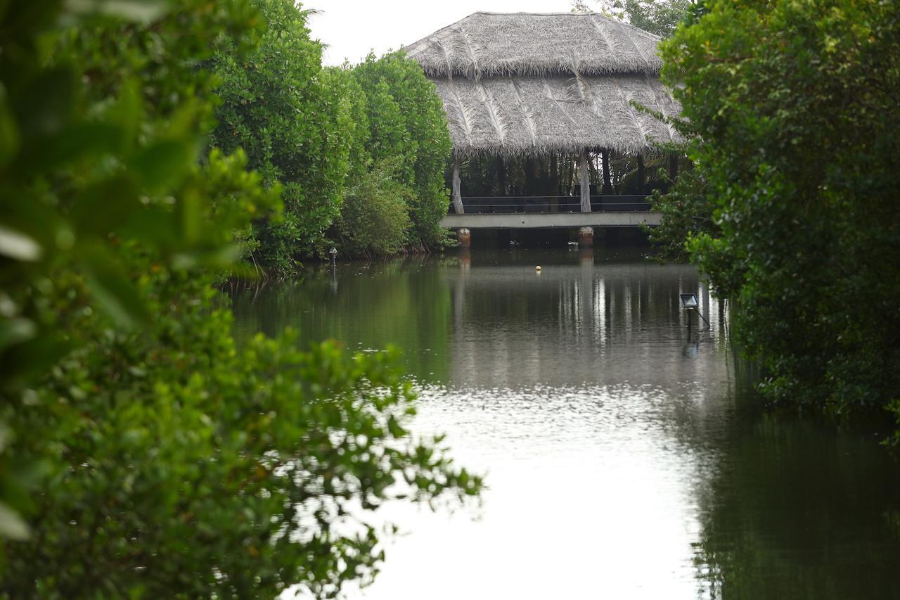 Mangrove Beach Chalets Tangalle Exterior foto